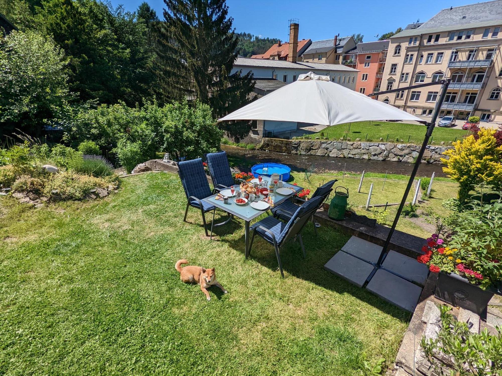 Zi2 - Urlaubsmagie - Whirlpool, Sauna Und Garten Lägenhet Sebnitz Exteriör bild